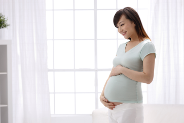 Understanding Ovulation and Early Pregnancy Detection: A Comprehensive Guide