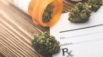 Protecting Youth, Staying Away from Marijuana — Amazewell Marijuana Test Kits Aid Family Health Monitoring