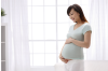Understanding Ovulation and Early Pregnancy Detection: A Comprehensive Guide
