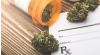 Protecting Youth, Staying Away from Marijuana — Amazewell Marijuana Test Kits Aid Family Health Monitoring