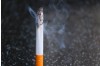 Quantitative Analysis of Nicotine Exposure Using Saliva-Based Rapid Testing